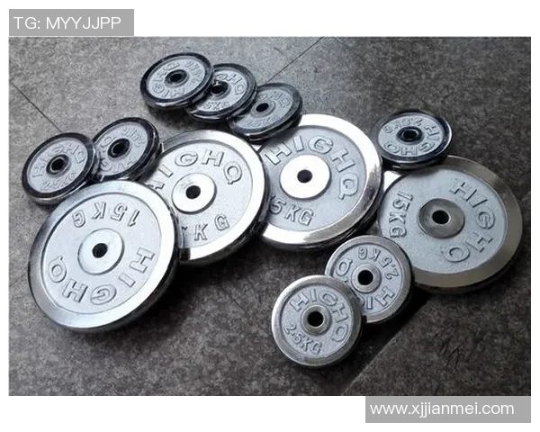 哑铃片价格解析及市场趋势分析助你选购最优产品